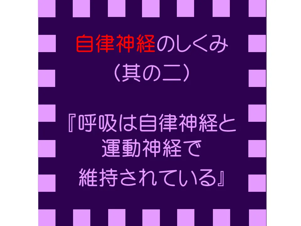 自律神経のしくみ (其の二) 呼吸は運動神経と自律神経で維持される